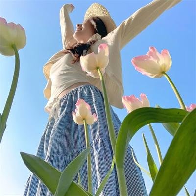 鉴你所见：图卡